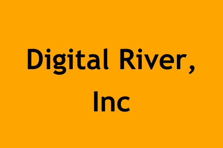 Digital Solutions Provider Digital River Inc