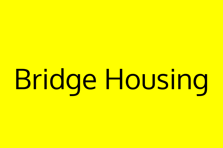 Designer Architect Bridge Housing