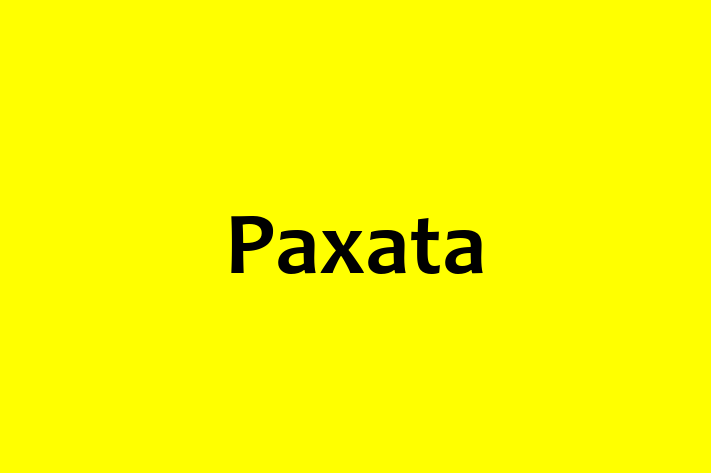 Technology Company Paxata