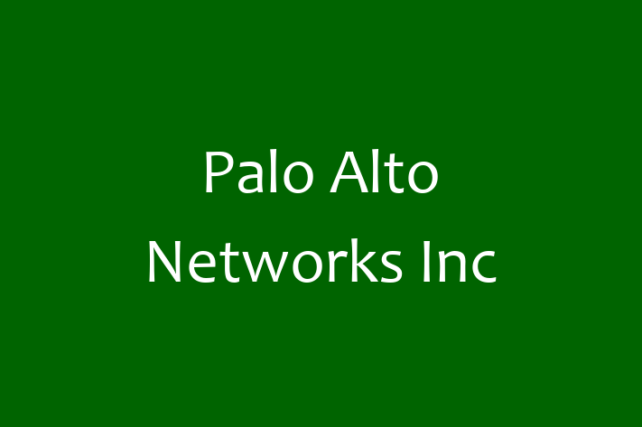 Software Consultancy Palo Alto Networks Inc