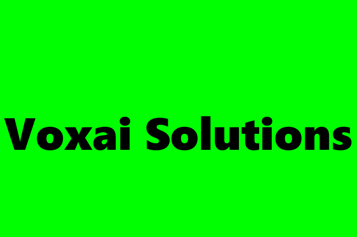 IT Company Voxai Solutions