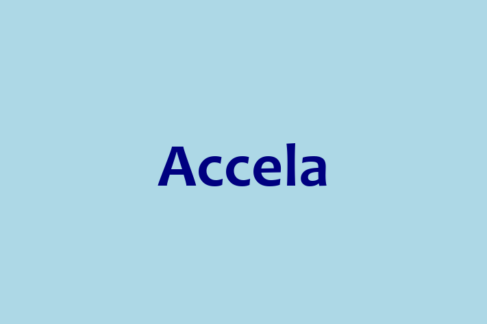 Software Consultancy Accela