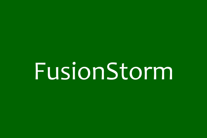 IT Company FusionStorm