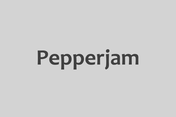 Tech Solutions Company Pepperjam