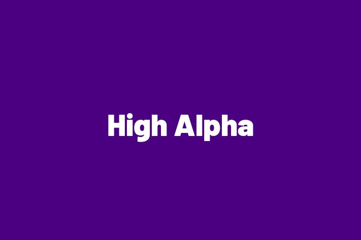 Software Solutions Provider High Alpha