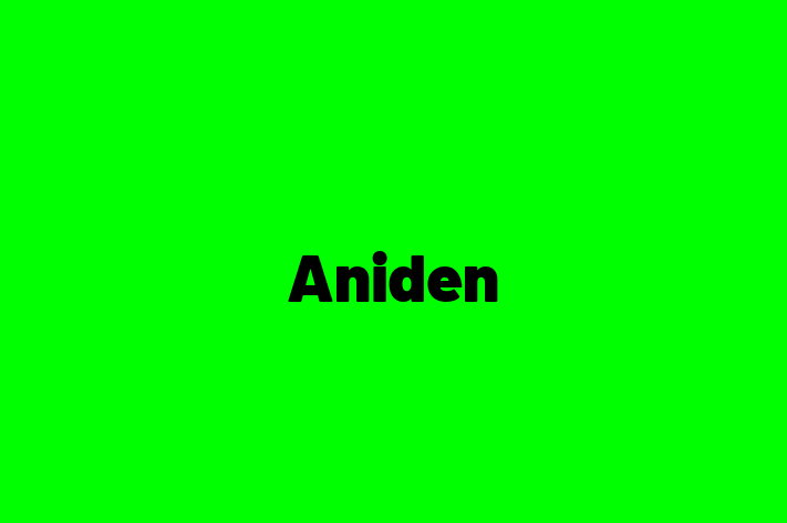 Software Firm Aniden