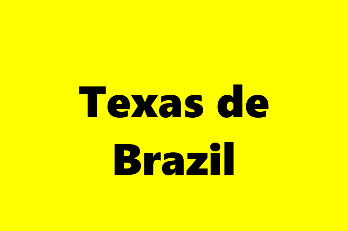 Workforce Management Texas de Brazil