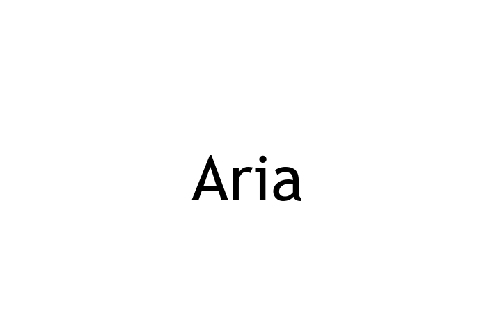 Application Development Company Aria