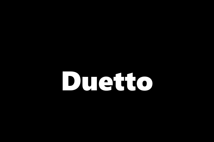 Human Resource Management Duetto