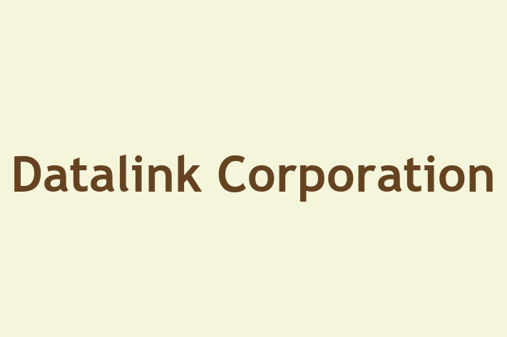 Technology Solutions Firm Datalink Corporation