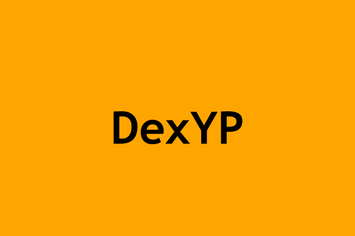 IT Company DexYP