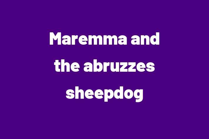 Maremma and the abruzzes sheepdog for Sale in Macon