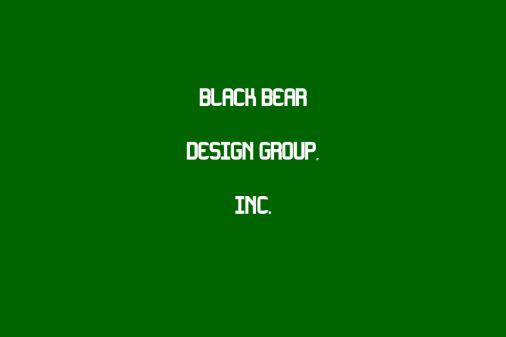 Software Engineering Company Black Bear Design Group Inc.