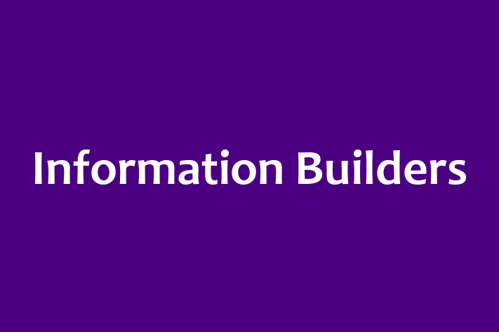 IT Company Information Builders