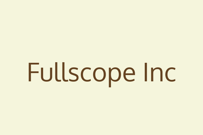 Software Solutions Provider Fullscope Inc