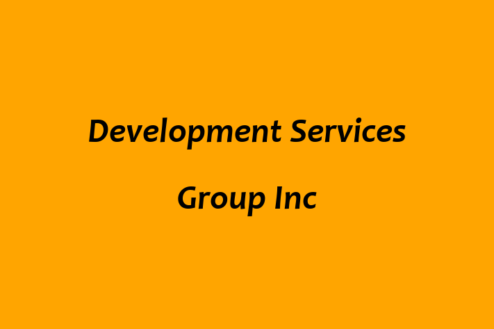 Software Development Firm Development Services Group Inc