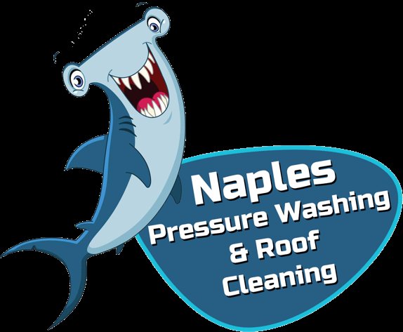 Housekeeping Naples Pressure Washing and Roof Cleaning