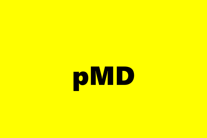 Software Services Company pMD