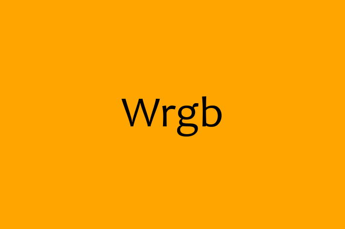 Software Development Firm Wrgb