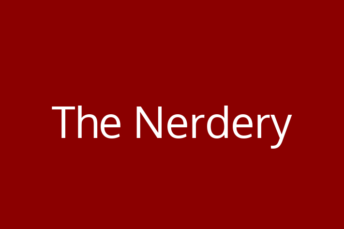 Application Development Company The Nerdery