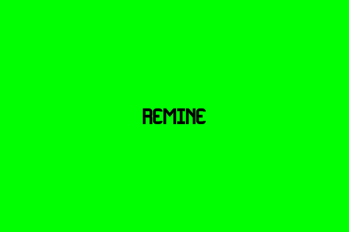 Digital Solutions Provider Remine