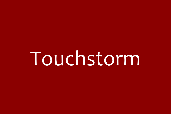 Software Engineering Company Touchstorm