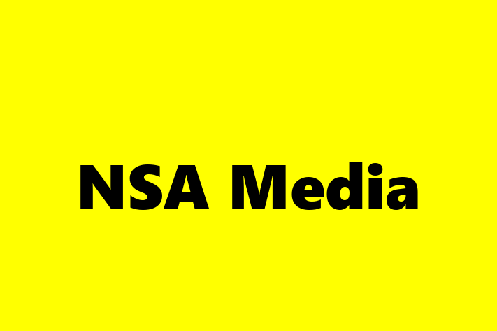 Software Development Company NSA Media