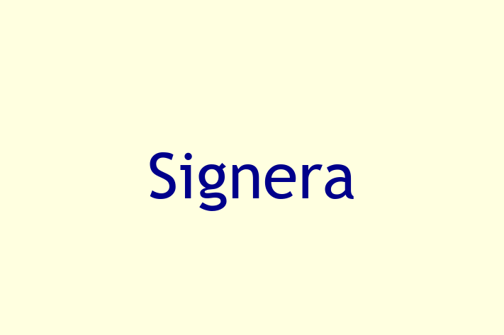 Tech Solutions Company Signera