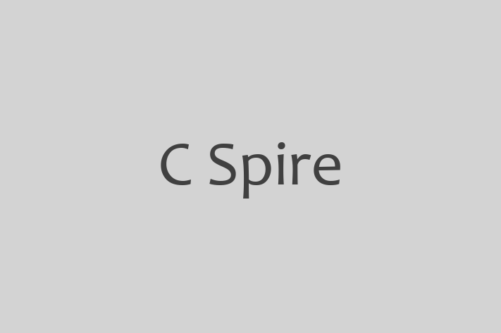 Software Solutions Provider C Spire