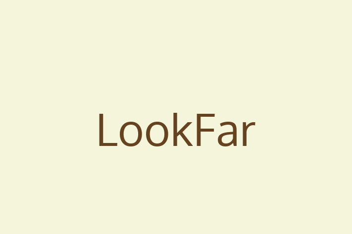 Software Solutions Provider LookFar