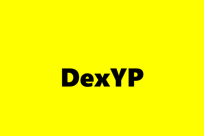 Software Development Firm DexYP