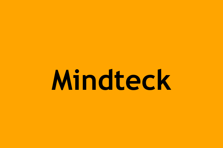 Software Development Firm Mindteck