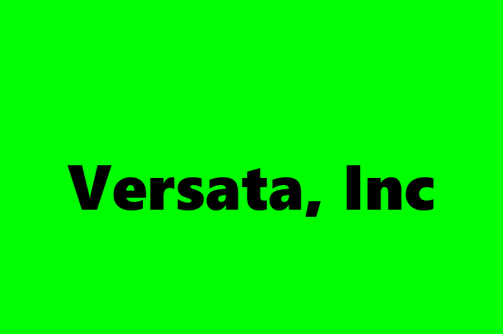 Software Solutions Provider Versata Inc