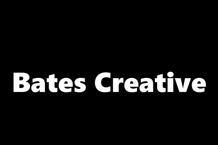 Tech Solutions Company Bates Creative