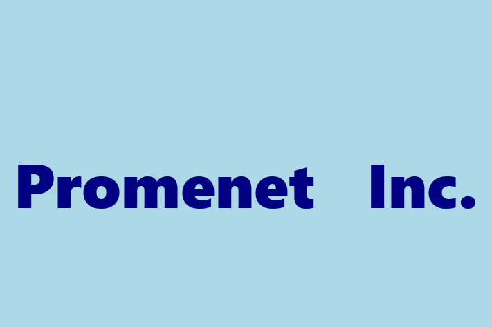 Technology Company Promenet  Inc.