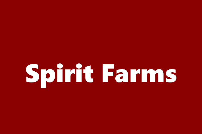 Human Capital Management Spirit Farms