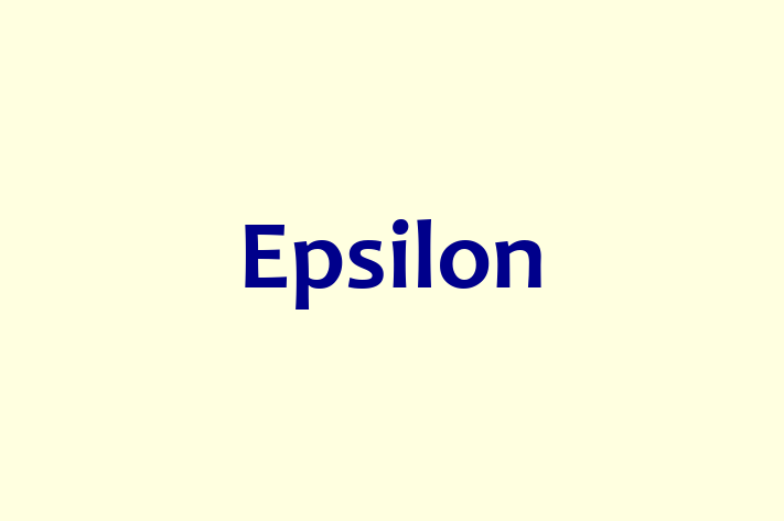 Application Development Company Epsilon