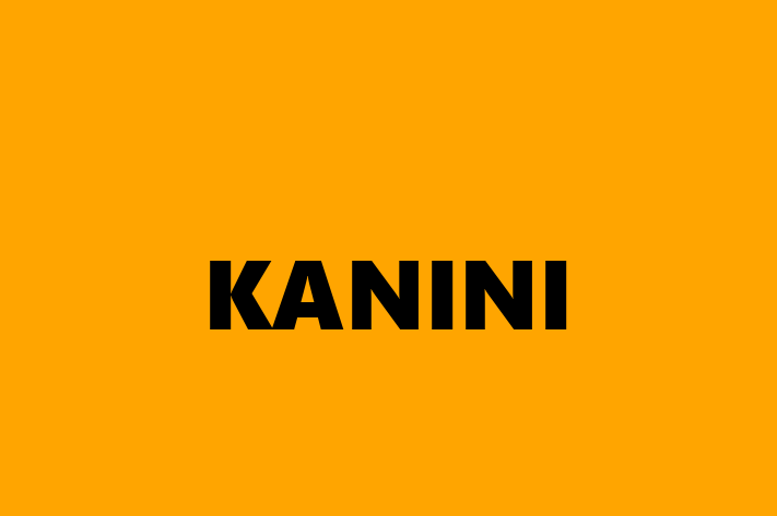 Workforce Management KANINI