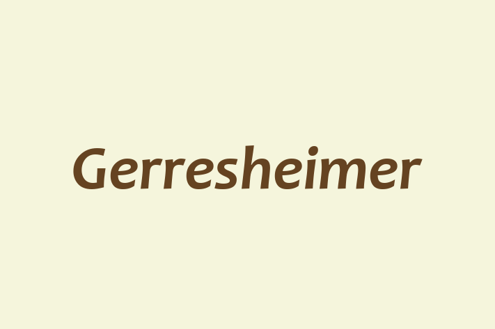 Talent Management Gerresheimer