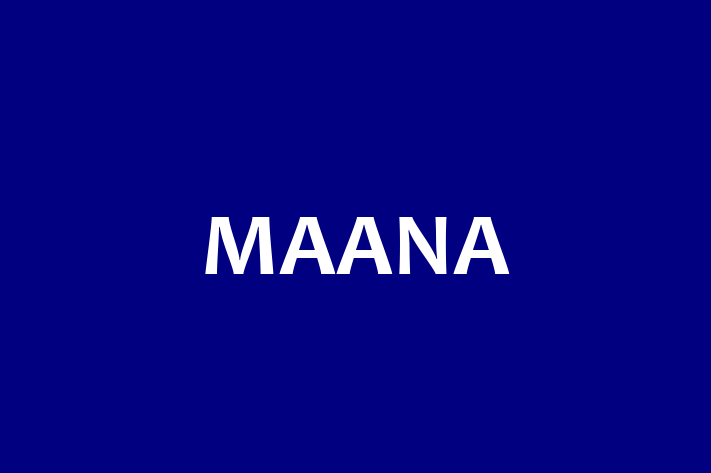 Software Engineering Company MAANA