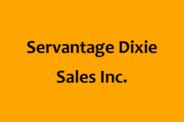 Software Solutions Provider Servantage Dixie Sales Inc.