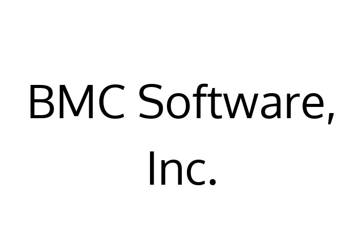 IT Company BMC Software Inc.