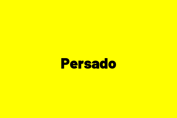 Software Development Company Persado