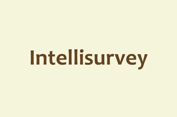 Technology Solutions Firm Intellisurvey