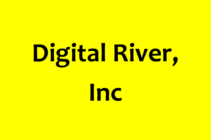 Software Engineering Company Digital River Inc