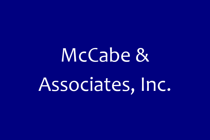 Software Development Company McCabe Associates Inc.