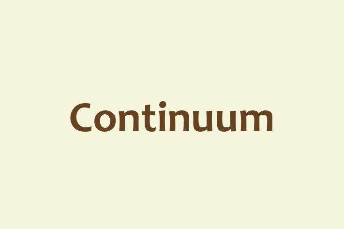 Software Firm Continuum