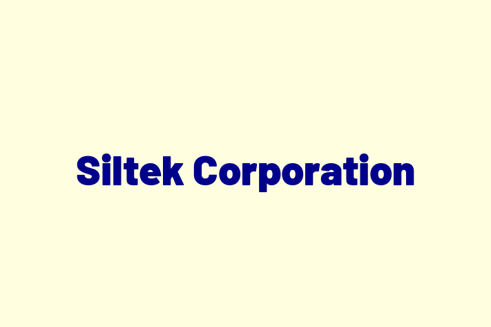 Software Firm Siltek Corporation