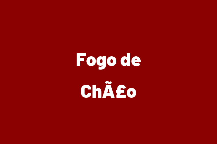 Employee Resource Management Fogo de Cho