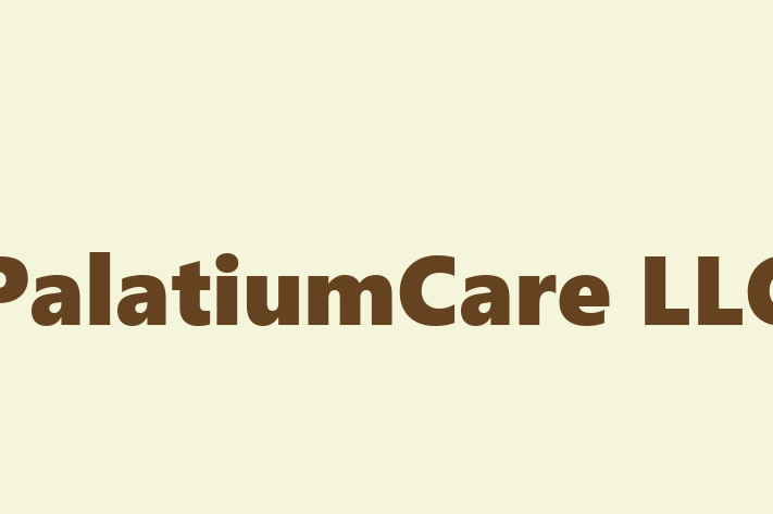 Technology Solutions Firm PalatiumCare LLC